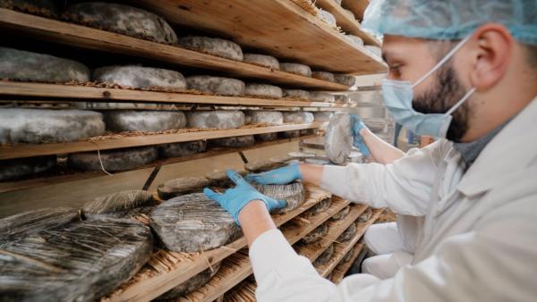 La fromagerie de Condat (Lactalis) - bref eco