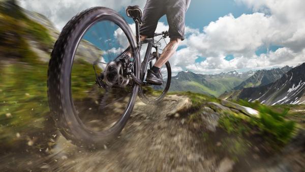 Le marché de la location du vélo est encore peu structuré.