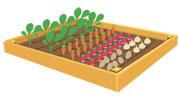 Monpotager.com veut lever 300 000 euros sur Crowd Avenue