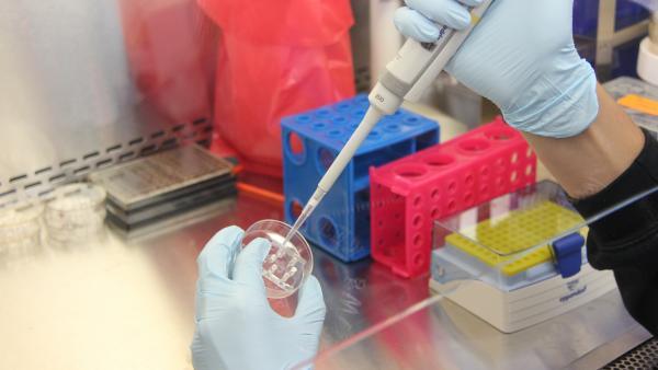 IA, décarbonation, réindustrialisation: les enjeux de la filière laboratoire