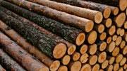 Chaufferie bois : NextEnergies rachète le savoyard Weiss France
