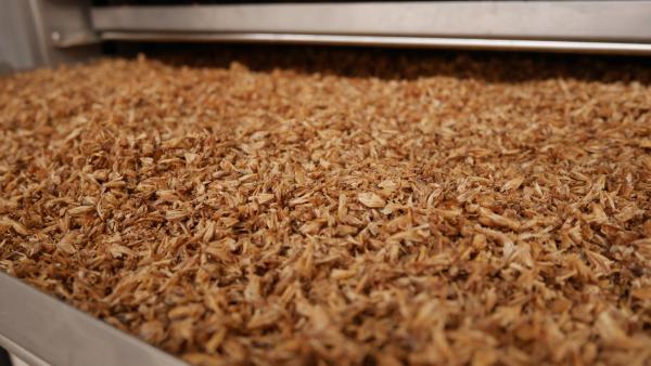 Le process de Maltivor comprend une presse, un déshydrateur, un moulin, un tamis et une ensacheuse. La farine qui en est issue est proposée aux boulangers pour en faire des pains spéciaux dont le goût diffère selon le malt utilisé.