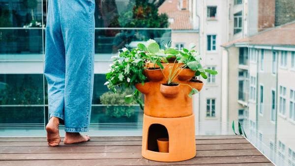 Ceercle va déployer 300 potagers composteurs sur les balcons de