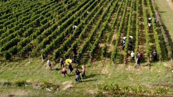 Les Clos Maurice - bref eco