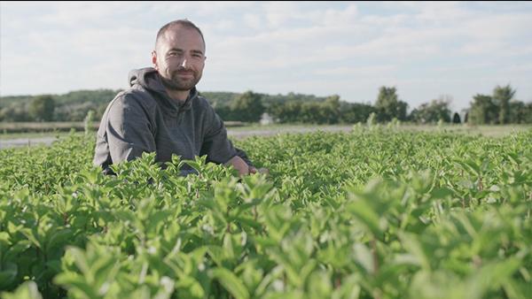 Maréchal Fraîcheur, du producteur au consommateur