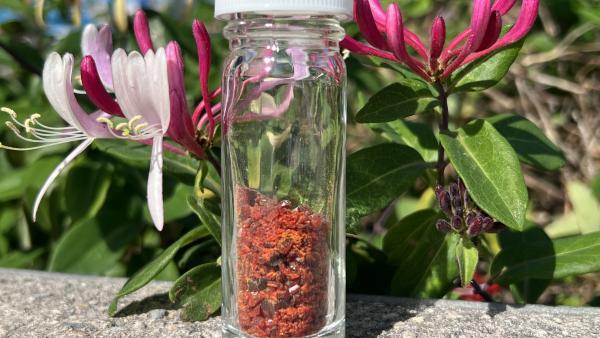 L'oligoélément permet d'augmenter la résilience des abeilles et réduire la surmortalité hivernale