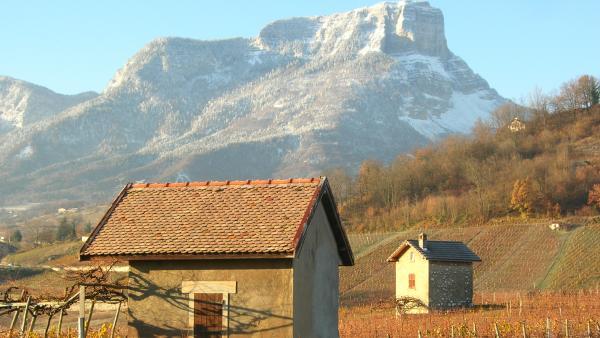 route pour les vignobles alpins - bref eco