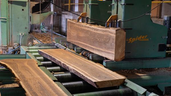 L’entreprise Probois a été rebaptisée Wood by D.