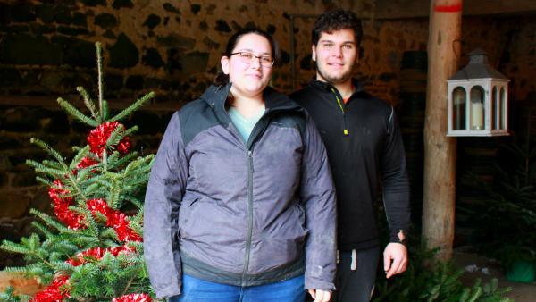SARL les Sapins de Bois Guillaume - brefeco