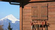 Rhône-Alpes, partie prenante du projet MountEE