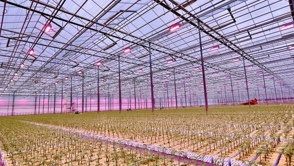 Série A de 17 millions d'euros pour RED Horticulture