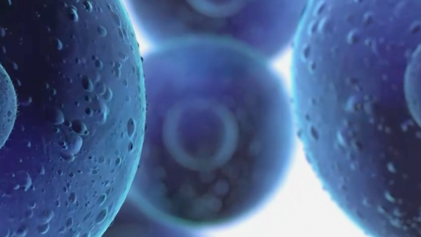 La société de biotechnologie ErVaccine lève des fonds pour son vaccin anti-cancer