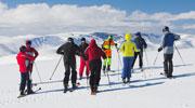Skigloo tout schuss sur la toile