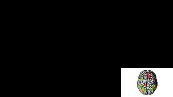 Theranexus lève 3,6 M€ en amorçage