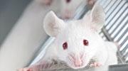 Transcure bioServices lève 698 000 euros
