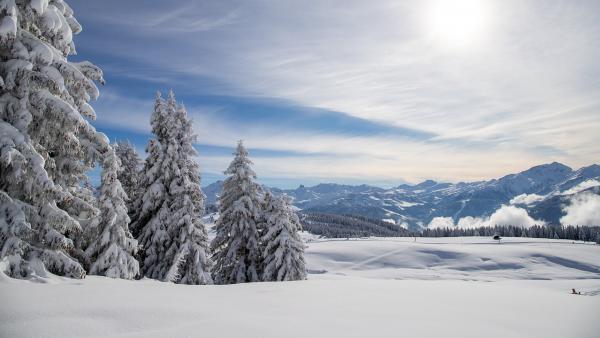 L’Agence Savoie Mont Blanc en route pour la liquidation