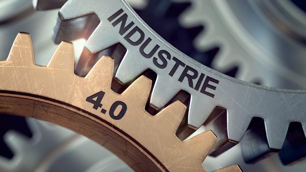 Comment la CCI transforme les ambitions des  entreprises en projets concrets sur le territoire