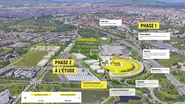 Plan masse Yellow Pulse